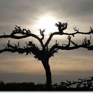 un-allenamento-per-lanima-monastero-wifi-milano Un allenamento per l’anima. #monasteroWiFi Milano